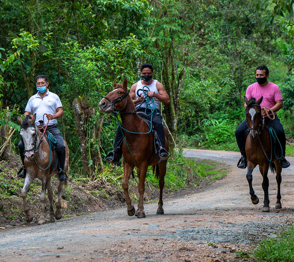 Cabalgatas en Mindo